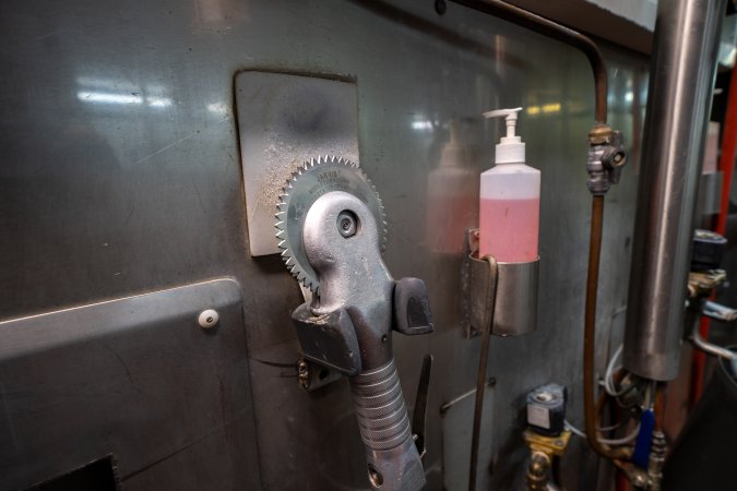 Handheld circular saw in cattle processing room