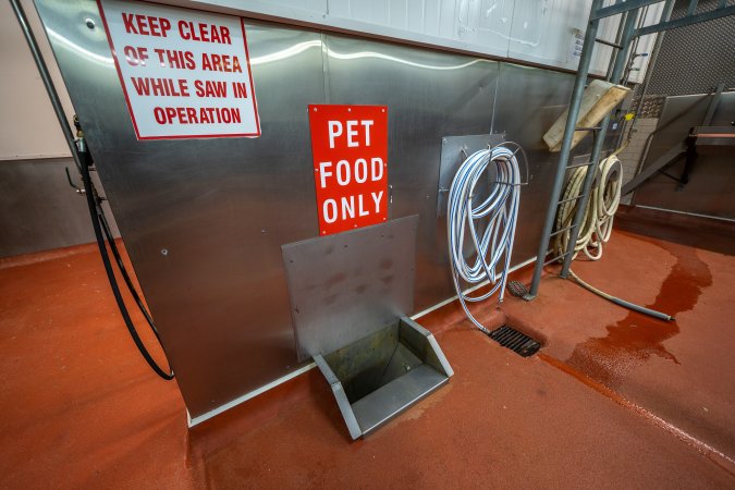Chute for pet food in cattle processing room
