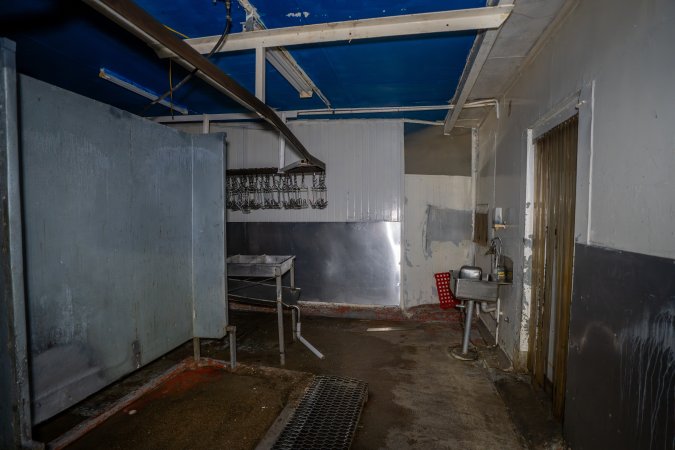 Kill room in rabbit/sheep slaughterhouse