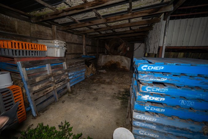 Small shed at back of rabbit/sheep slaughterhouse