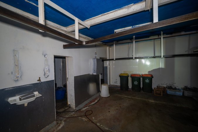 Kill room in rabbit/sheep slaughterhouse