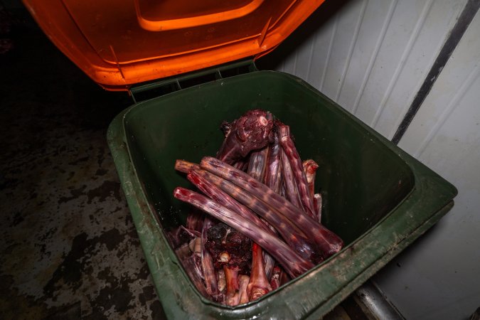 Bin full of bloody bones