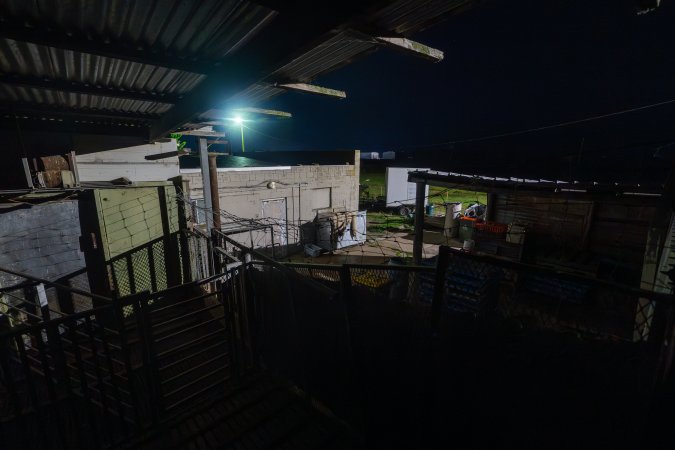 Outside sheep/rabbit slaughterhouse, in raised holding pens