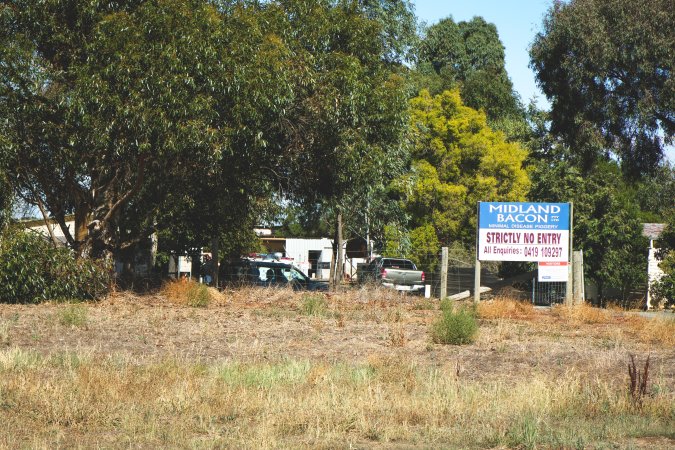 Animal activists asking for the release of Olivia (sow 8416) at Midland Bacon in Victoria