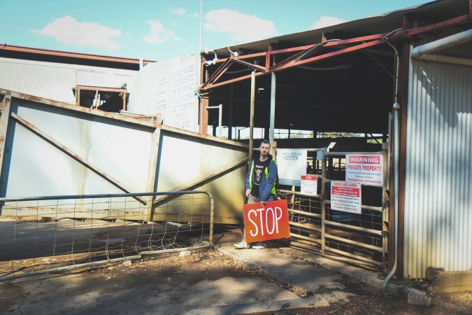 Activists bearing witness to pigs being unloaded at Benalla pig slaughterhouse in Victoria