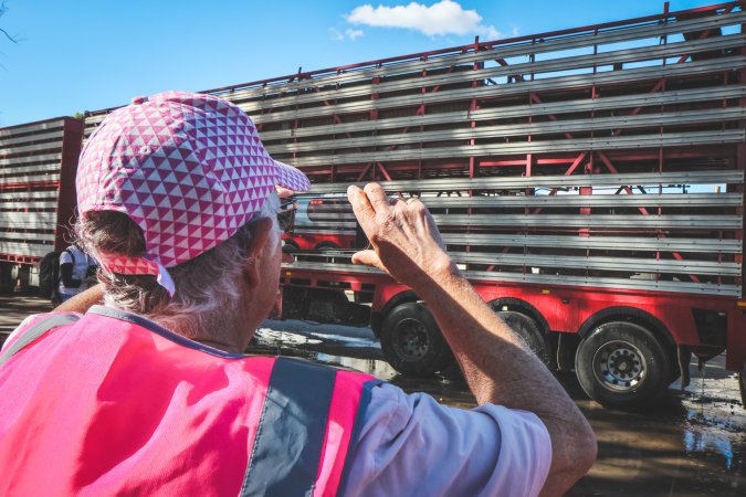 Activists bearing witness to pigs being unloaded at Benalla pig slaughterhouse in Victoria