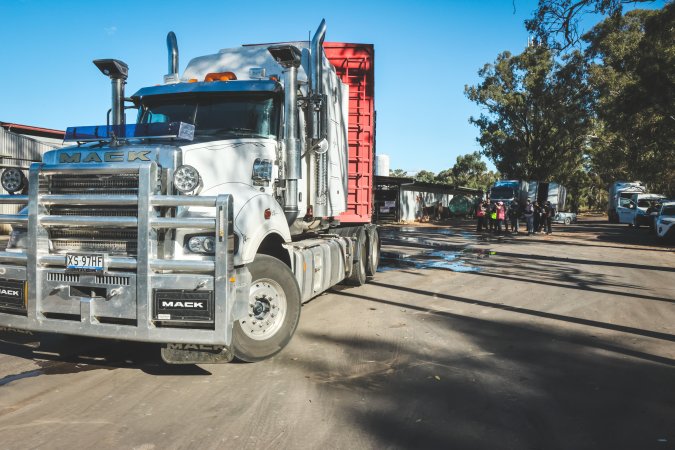 Activists bearing witness to pigs being unloaded at Benalla pig slaughterhouse in Victoria