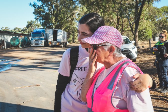 Activists bearing witness to pigs being unloaded at Benalla pig slaughterhouse in Victoria