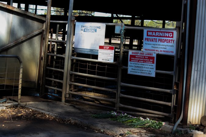 Signs outside of Benalla