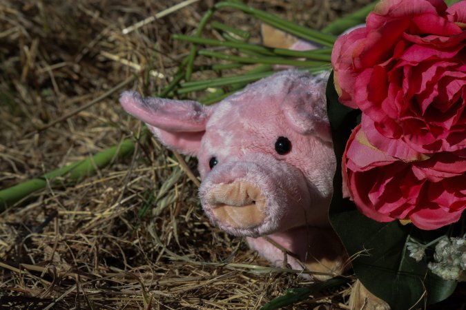 Memorial outside of Midland Bacon