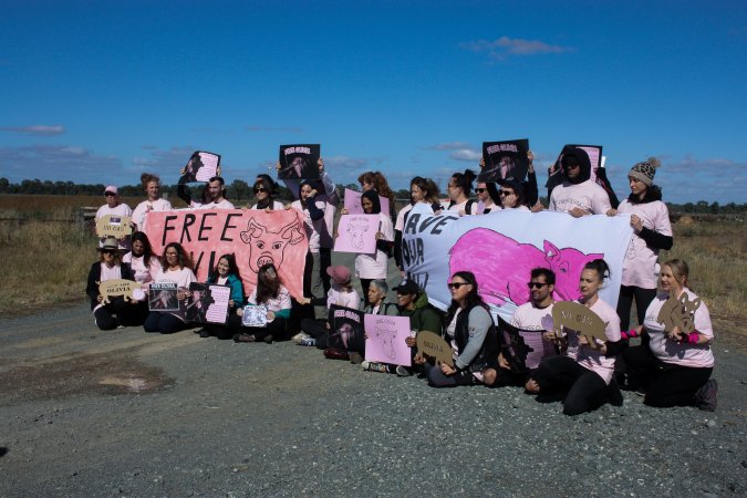 Animals Activists asking for the release of Olivia