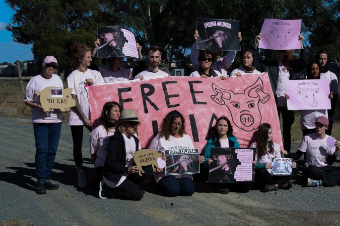 Animals Activists asking for the release of Olivia