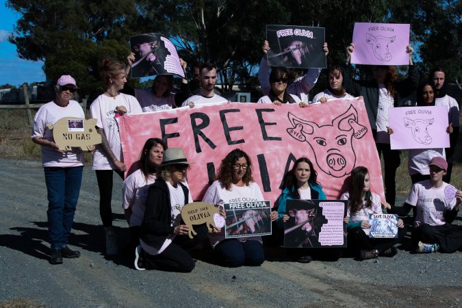 Animals Activists asking for the release of Olivia