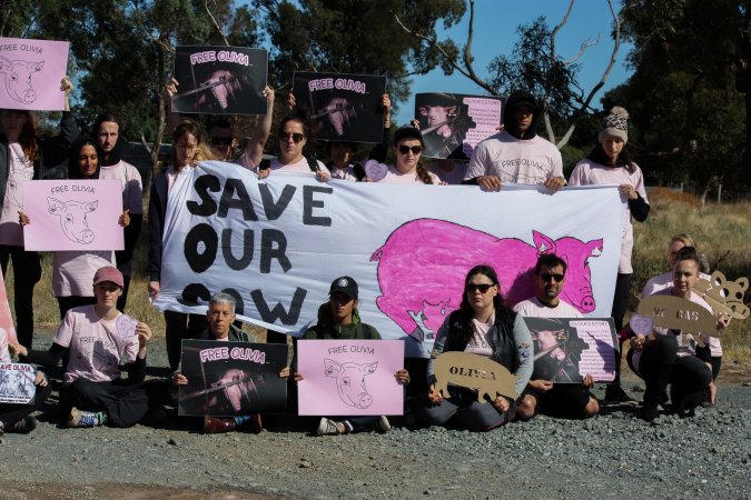 Animals Activists asking for the release of Olivia