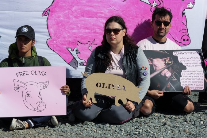 Animals Activists asking for the release of Olivia