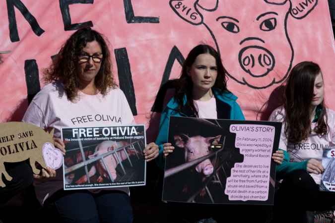 Animals Activists asking for the release of Olivia