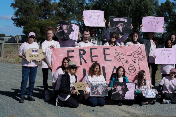 Animals Activists asking for the release of Olivia