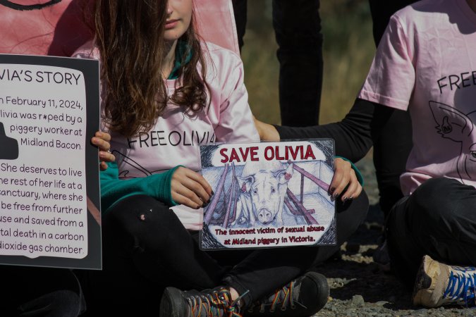 Animals Activists asking for the release of Olivia