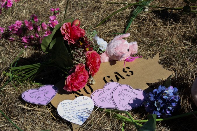 Memorial outside of Midland Bacon