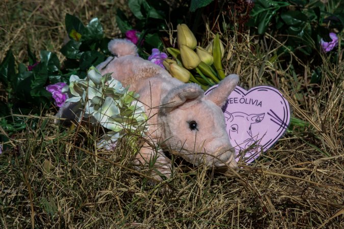 Memorial outside of Midland Bacon