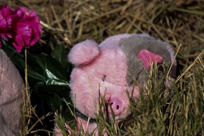 Memorial outside of Midland Bacon