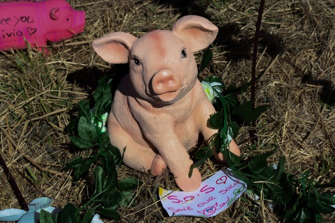 Memorial outside of Midland Bacon