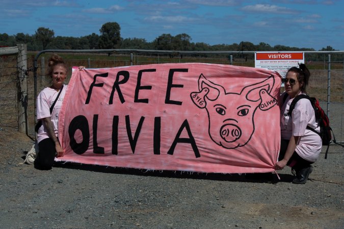 Animals Activists asking for the release of Olivia