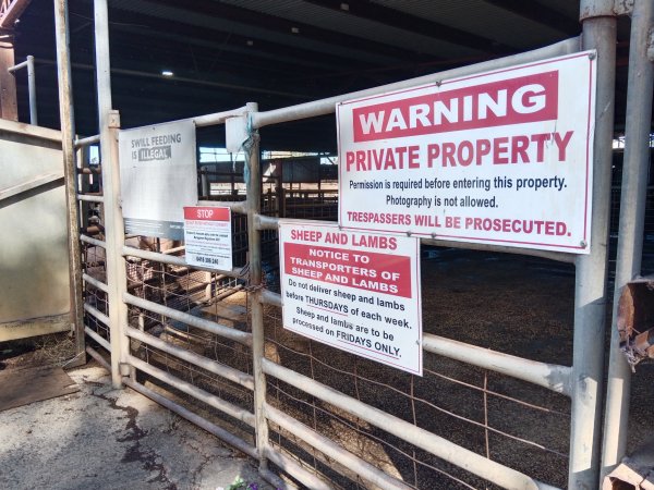 Gate and signs outside Benalla Slaughterhouse holding pens