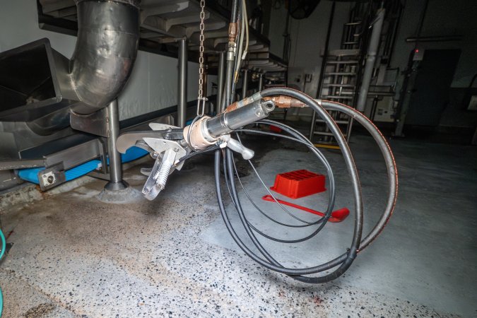 Machinery inside cattle kill room