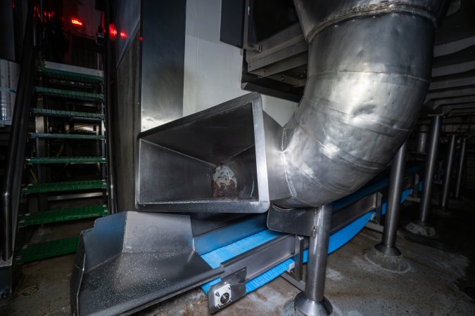 Waste/offal chute in processing room