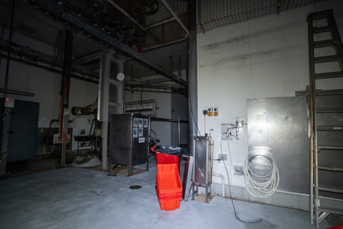 Cattle processing room