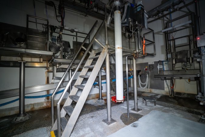 Cattle processing room