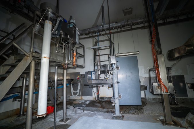 Cattle processing room