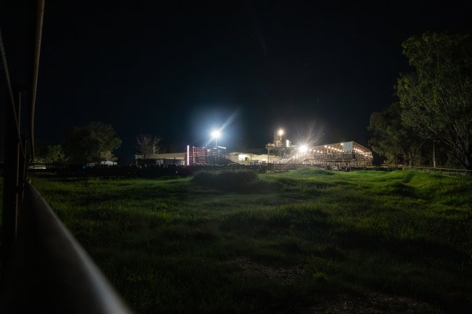 Outside slaughterhouse at night