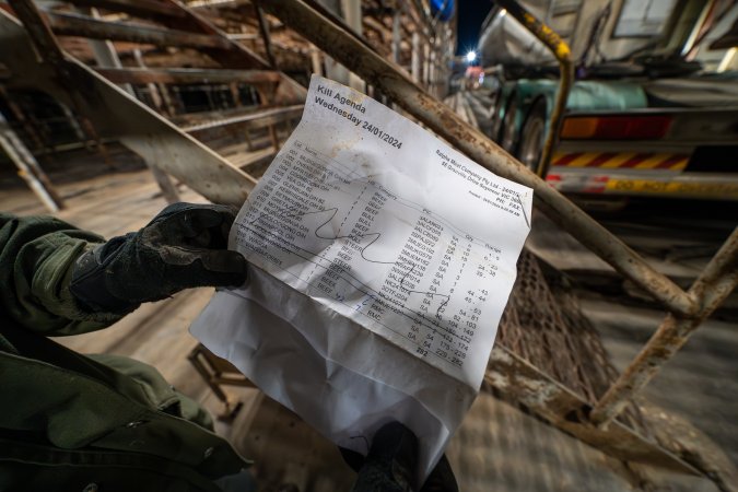 Investigator reads daily kill agenda found underneath holding pens