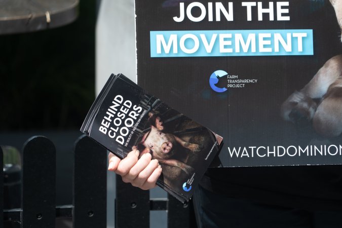 Animal rights activists at Dominion Outreach Melbourne