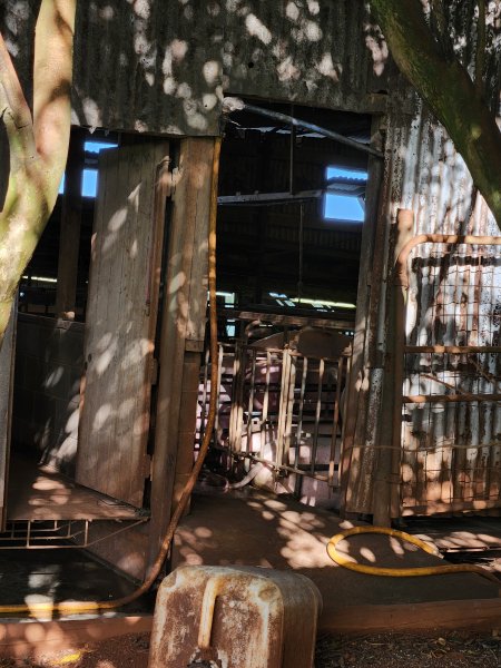 Atherton piggery