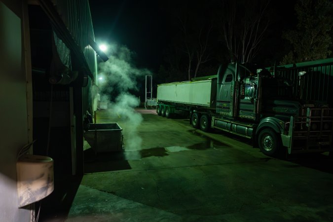 Guts truck parked outside slaughterhouse at night