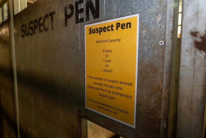 Suspect pen signage in slaughterhouse holding pens