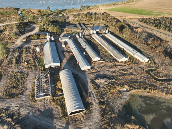 Panorama drone photo - Eco Piggery