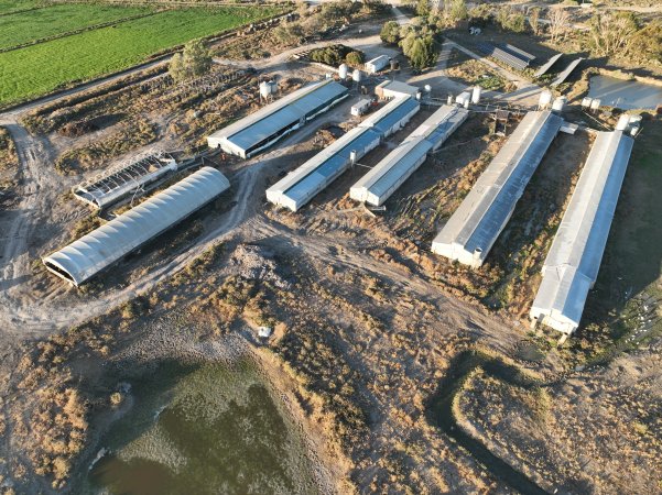 Panorama drone photo - Eco Piggery
