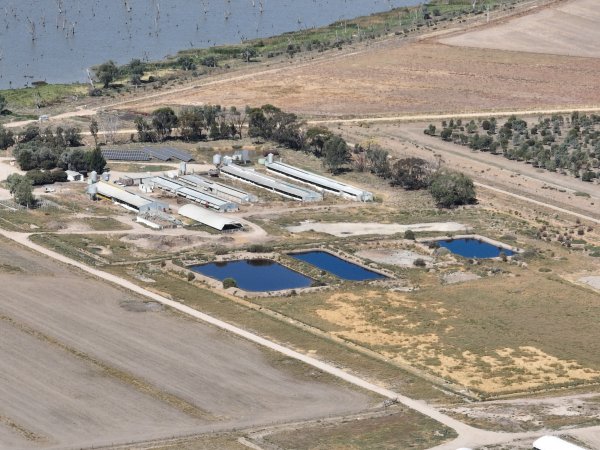 Drone photo of Eco piggery