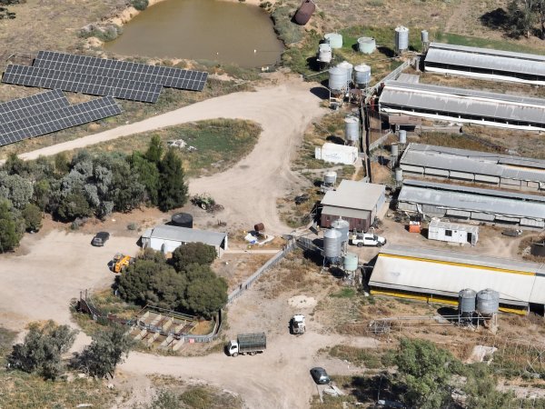Drone photo of Eco piggery