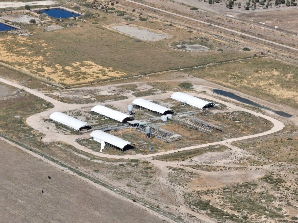 Drone photo of Eco piggery