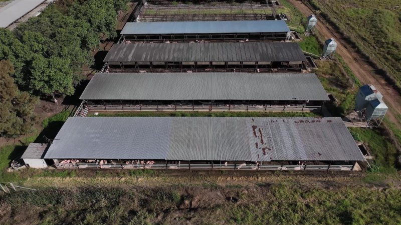 Burnett Pork Alliance piggery