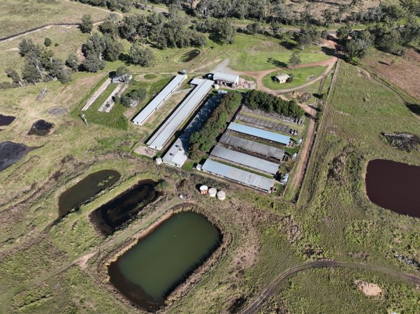Burnett Pork Alliance piggery