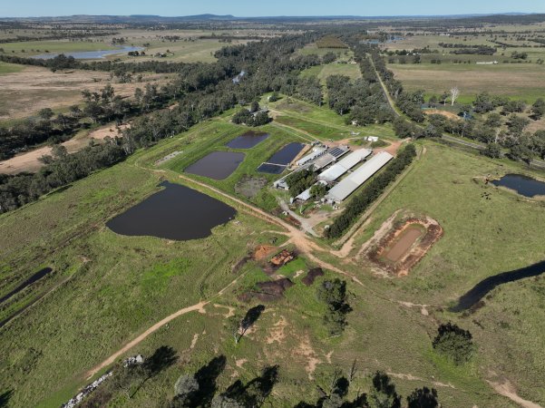 Burnett Pork Alliance piggery