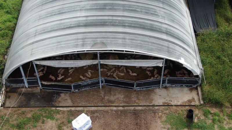 Langford's Piggery