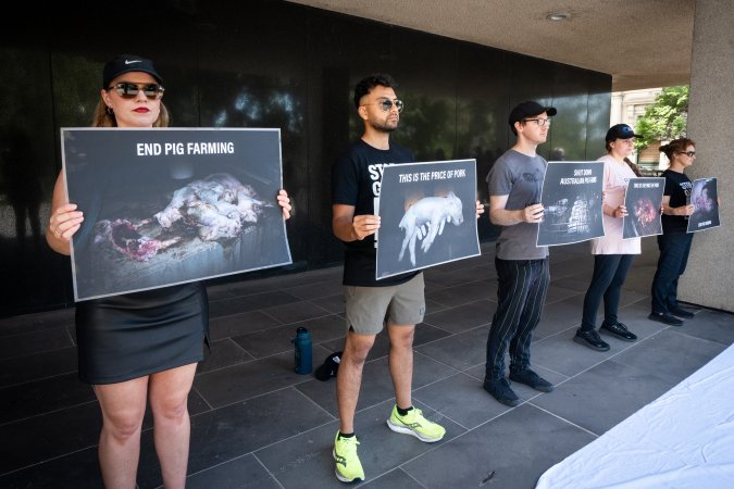 Animal rights activists attending the Rally For Pigs 2025
