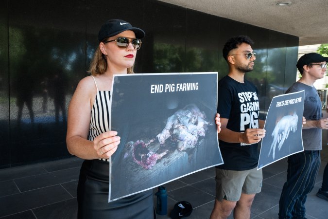 Animal rights activists attending the Rally For Pigs 2025